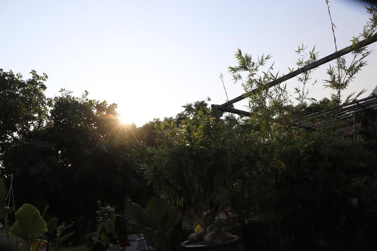 Phong Nha Friendly Home Buitenkant foto